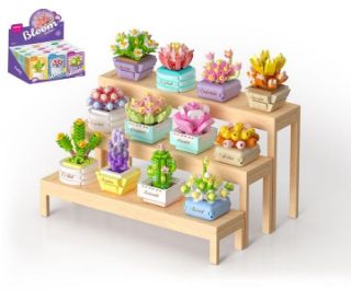 Obrázek z Stavebnice mini KOCO Sukulent v květináči mix druhů v krabičce 8x12x4cm (12) 